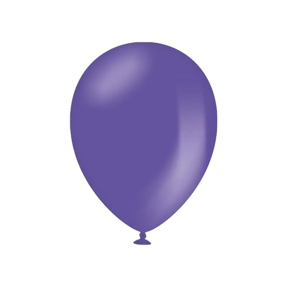25 Ballons 30cm - Violet / Purple