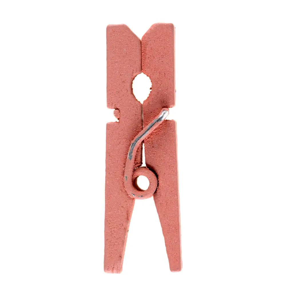 24 Mini pinces en bois - Terracotta - 2.5 cm