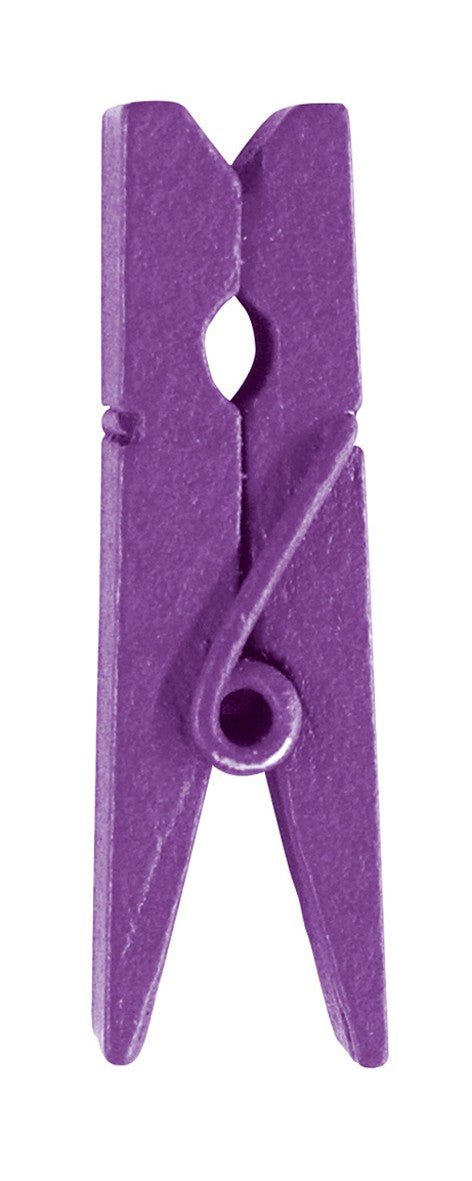 24 Mini pinces en bois Prune - 2,5 cm