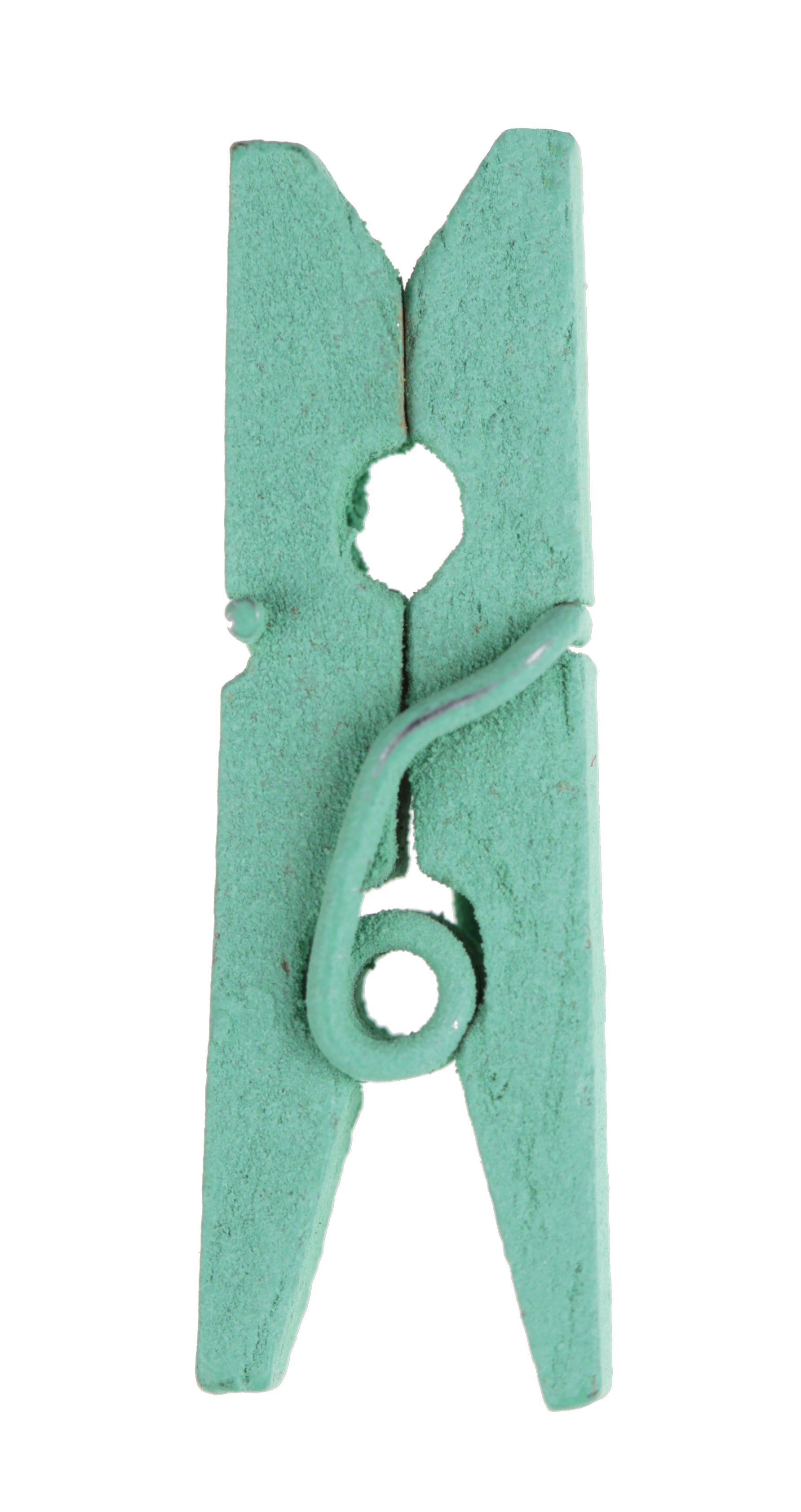 24 Mini pinces en bois Mint - 2,5 cm