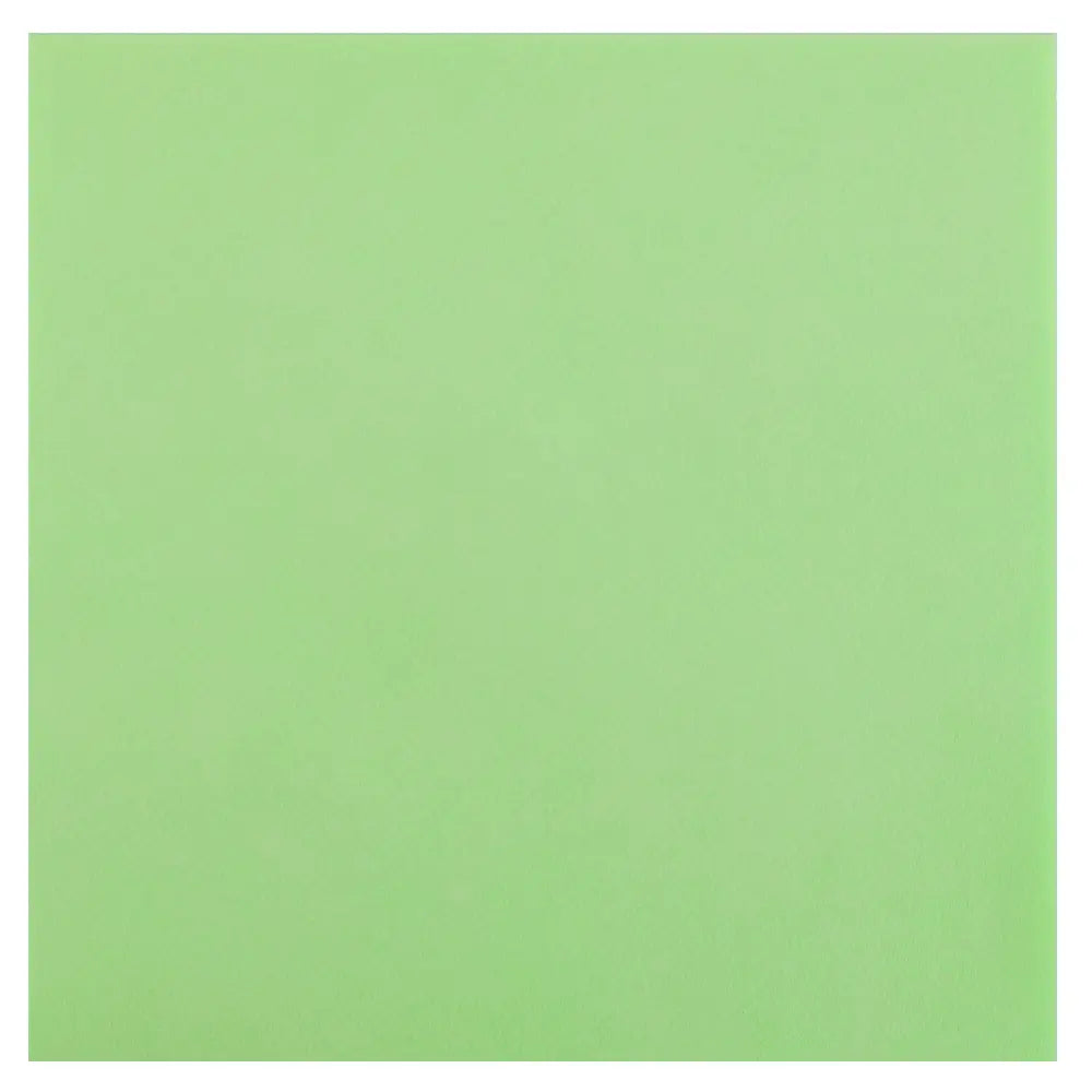 25 Serviettes Rainbow Menthe - 40 x 40 cm