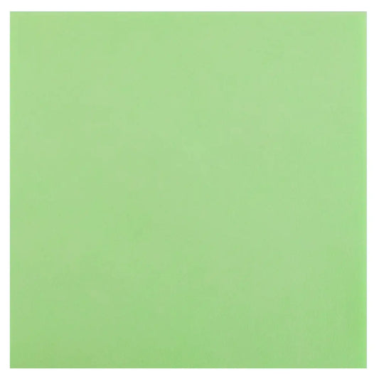 25 Serviettes Rainbow Menthe - 40 x 40 cm