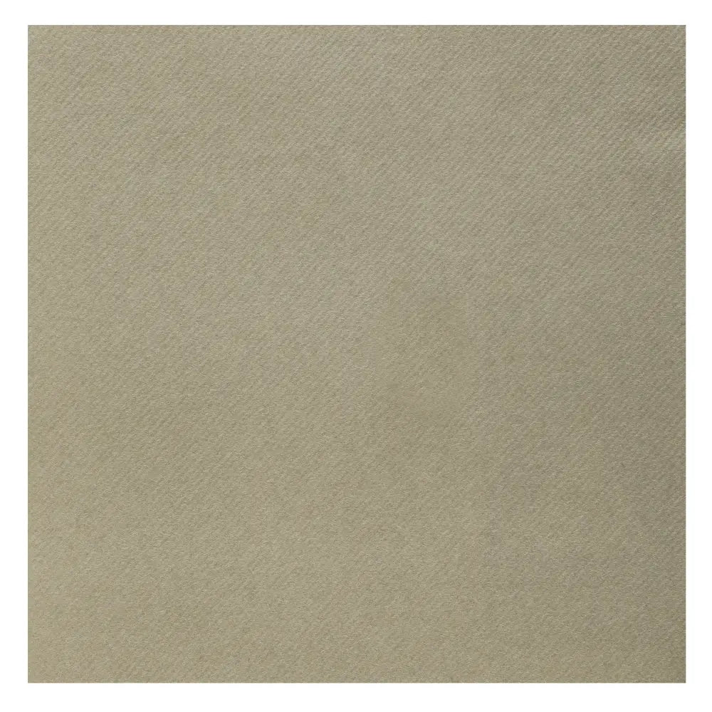 25 Serviettes Rainbow Taupe - 40 x 40 cm