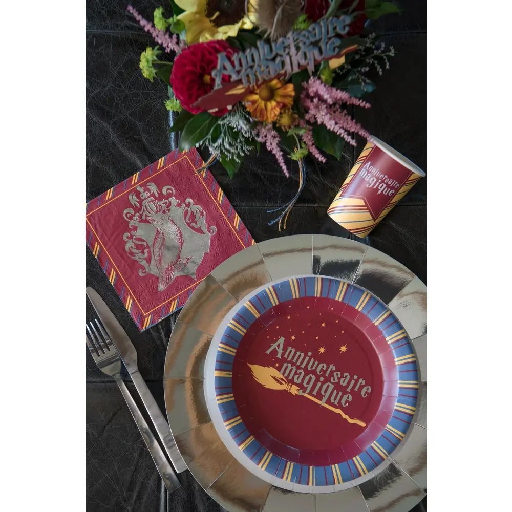 10 Assiettes sorcier "Anniversaire Magique" - Ø 22.5 cm