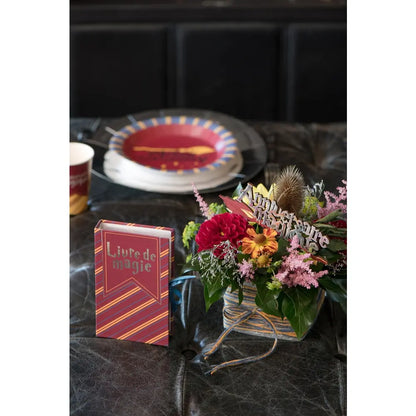 Boîte livre Sorcier Multicolore