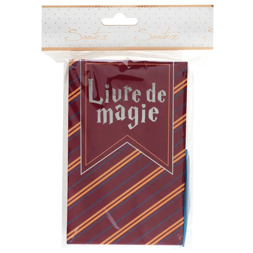 Boîte livre Sorcier Multicolore