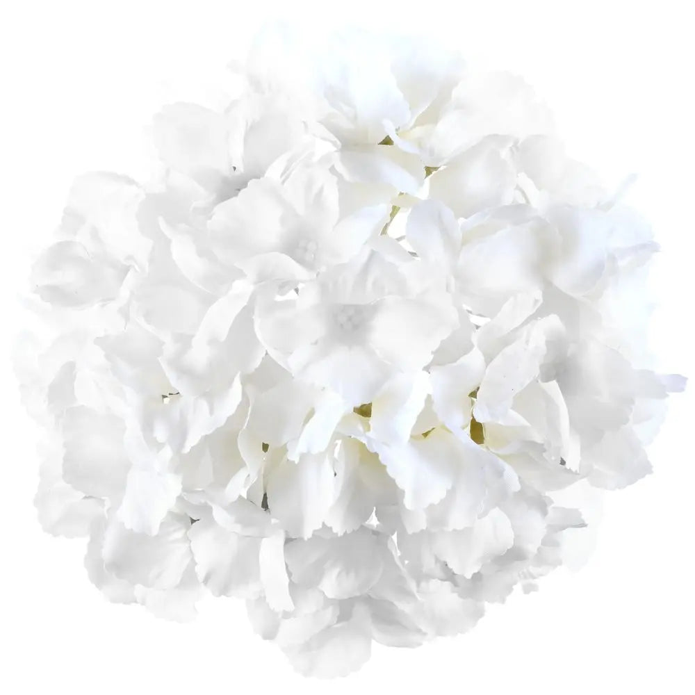 Hortensia Blanc Ø20cm