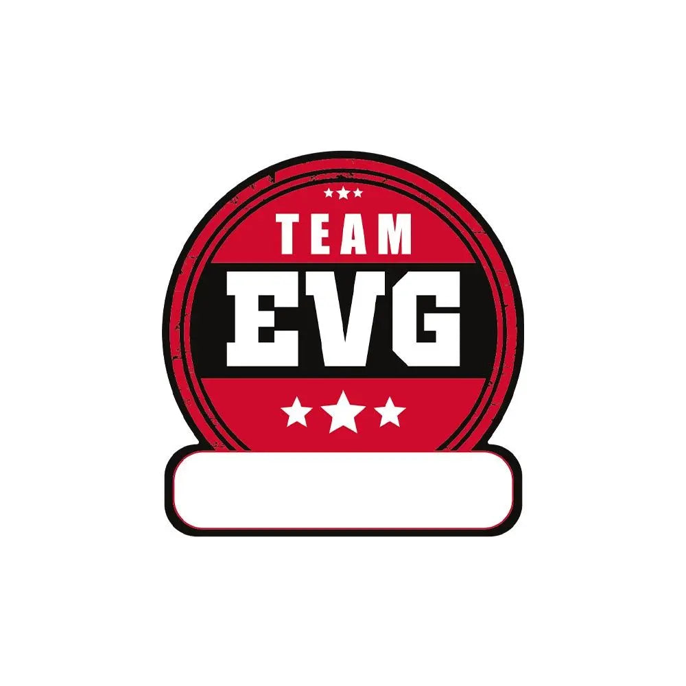 12 Stickers pour T-Shirt - EVG