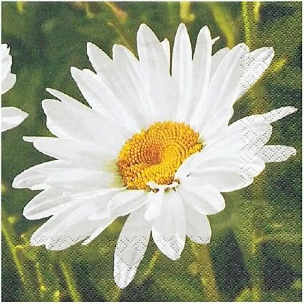 20 Serviettes en Papier 25X25cm - ''Marguerites''