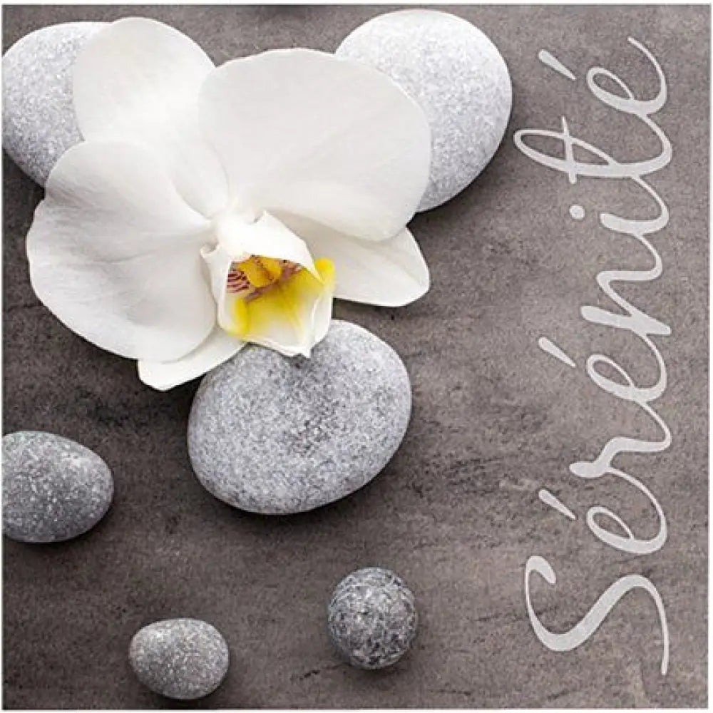 20 Serviettes en Papier 33x33cm - ''Sérénité"