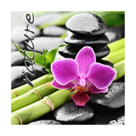 20 Serviettes en Papier 33x33cm -NATURE