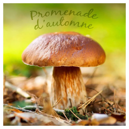 20 Serviettes en Papier 33x33cm - CHAMPIGNONS