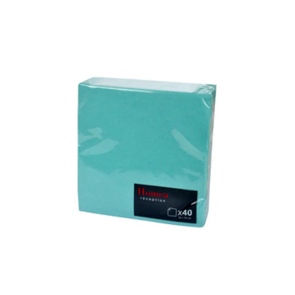 40 Serviettes en Papier 2 plis - 38x38cm / Vert Menthe