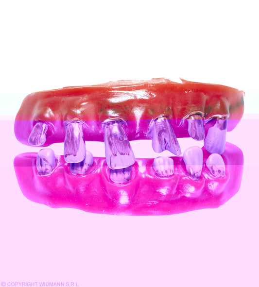 DENTURE DE VIEILLARD