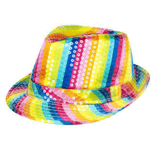 Pc. Chapeau Popstar rainbow