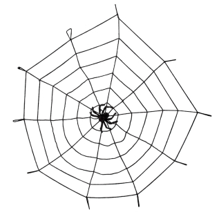 Toile d'araignée élastique avec araignée