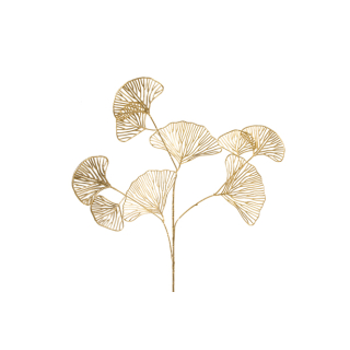 Branche de feuilles de ginkgo or