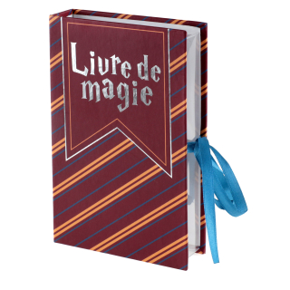 Boîte livre Sorcier Multicolore