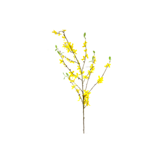 FORSYTHIA AVEC FEUILLES (95 cm) JA