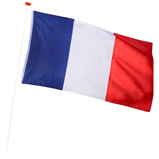 Drapeau à main Tricolore France