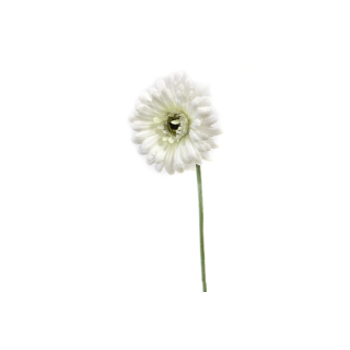 GERBERA (55 cm) B