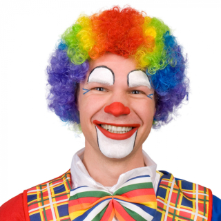 Perruque Clown Multicolores
