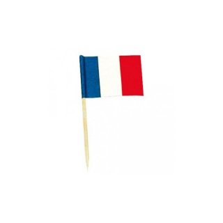 Mini pic drapeau France