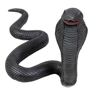 Cobra en latex