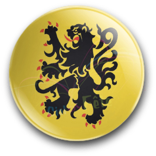 Badge lion des flandre