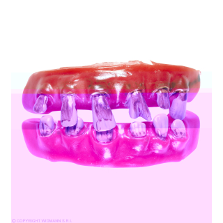 DENTURE DE VIEILLARD