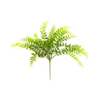 PIQUET DE 7 BRANCHES DE FRAGON OU FAUX HOUX VE