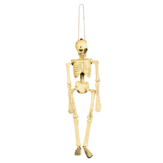 Squelette (40 cm)