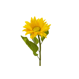 TOURNESOL (39 cm) JA