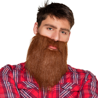 Barbe brune Hipster