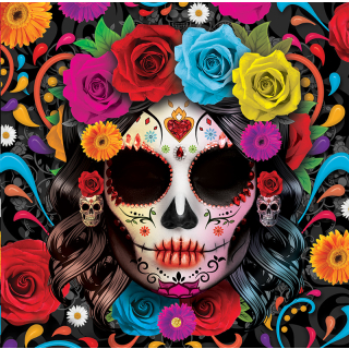 SACHET 12 SERVIETTES CATRINA 33X33 CMS