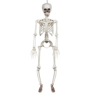 Décoration suspendue Squelette (90 cm)