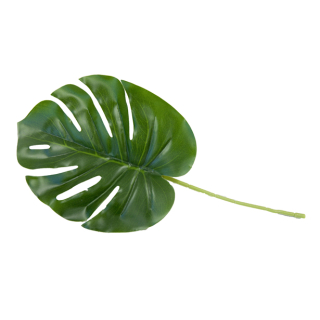 FEUILLE DE MONSTERA (34 cm) VE