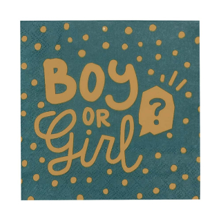Set 12 Serviettes en papier 'Boy or Girl?'