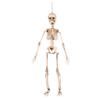 Décoration suspendue Squelette mobile