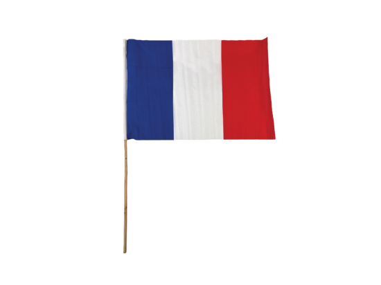 Drapeau avec hampe France