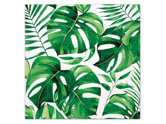 SET DE 20 SERVIETTES PAPIER 3 PLIS 33*33CM MONSTERA