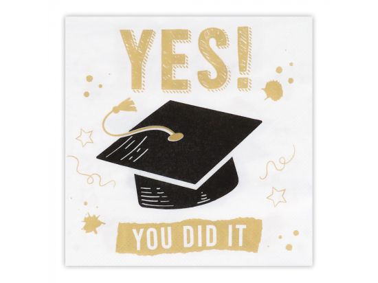 Set 20 Serviettes en papier 'YES! YOU DID IT' (33 x 33 cm)