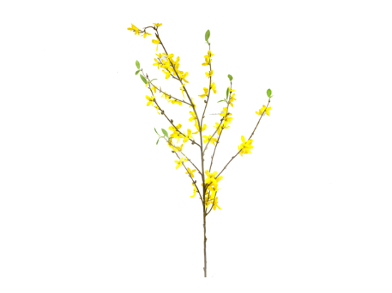 FORSYTHIA AVEC FEUILLES (95 cm) JA