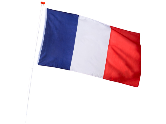 Drapeau à main Tricolore France