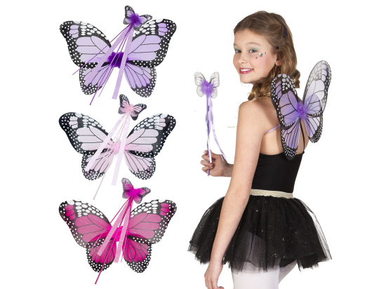 Set Papillon (ailes et baguette)