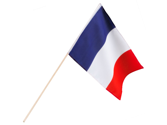 Drapeau à main France