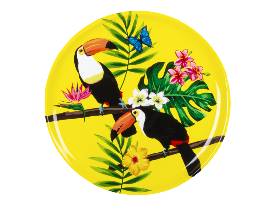 Plateau Toucan