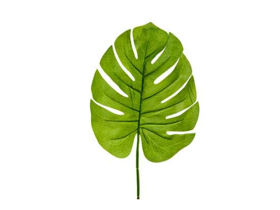 FEUILLE DE PHILODENDRON (60 cm)