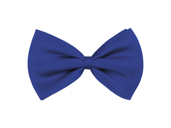 Noeud papillon Basic bleu