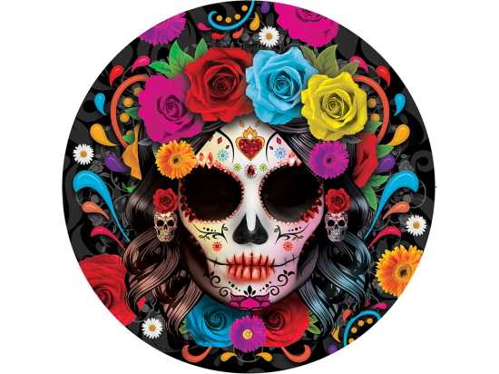 SACHET 6 ASSIETTES CATRINA 23 CMS